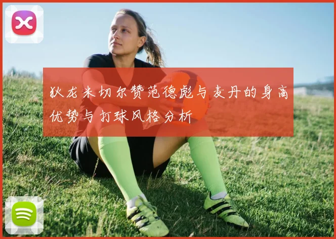 狄龙米切尔赞范德彪与麦丹的身高优势与打球风格分析