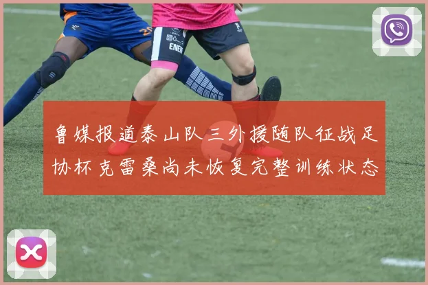 鲁媒报道泰山队三外援随队征战足协杯克雷桑尚未恢复完整训练状态