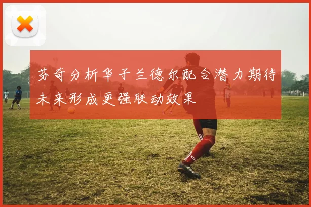 芬奇分析华子兰德尔配合潜力期待未来形成更强联动效果